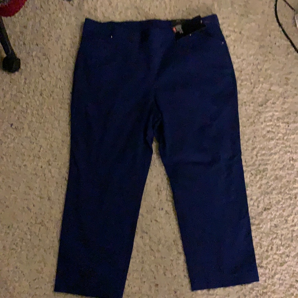 Avenue Pants - Blue - size 20